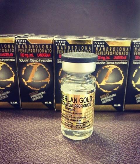 20979807_1256116361201208_1668930743_n Nandrolona Fenilpropionato 10ML - 100MG/ML– Landerlan Gold