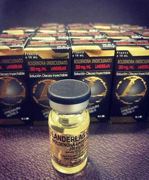 boldenona 10 ml 250mg ouro Boldenona 10 ML - 250MG/ML - Landerlan Gold